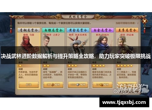 决战武林进阶数据解析与提升策略全攻略，助力玩家突破极限挑战