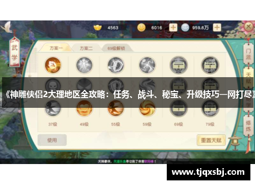 《神雕侠侣2大理地区全攻略：任务、战斗、秘宝、升级技巧一网打尽》