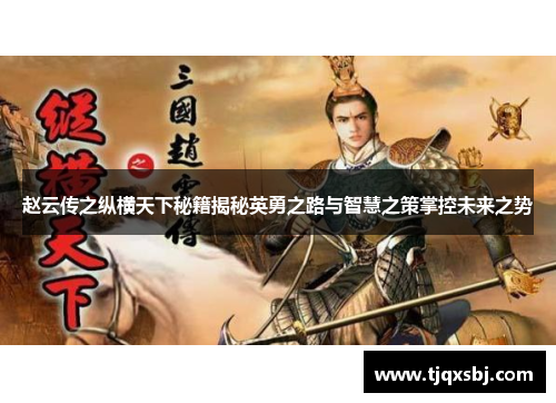 赵云传之纵横天下秘籍揭秘英勇之路与智慧之策掌控未来之势