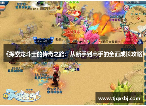 《探索龙斗士的传奇之路：从新手到高手的全面成长攻略》