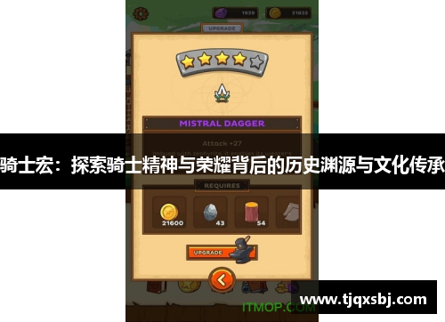 骑士宏：探索骑士精神与荣耀背后的历史渊源与文化传承