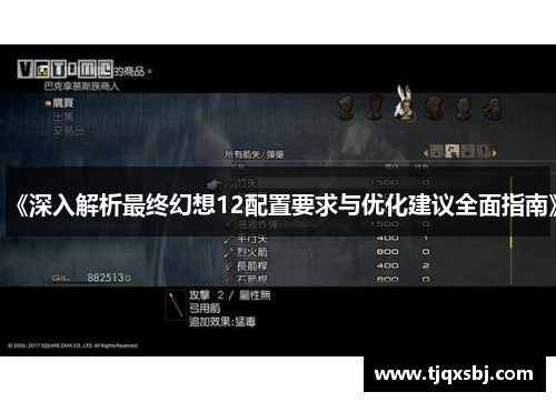 《深入解析最终幻想12配置要求与优化建议全面指南》