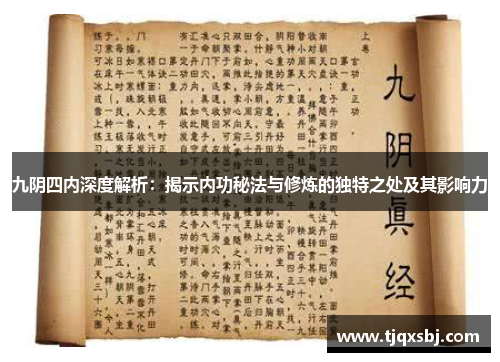 九阴四内深度解析：揭示内功秘法与修炼的独特之处及其影响力